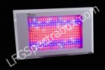 LFG spectrabox pro II 600 watt