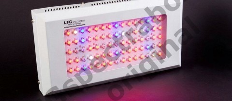 LFG spectrabox professional II 150 watt